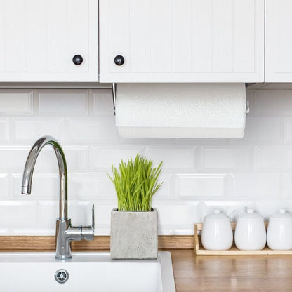 Steady Mounted Paper Towel Holder - US 5411