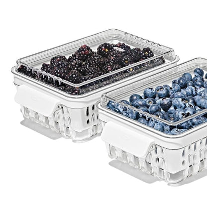 Produce Saver - Berry Keeper 2-Piece Set - US 5097